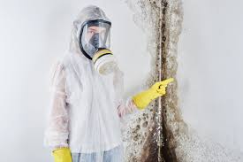 Mold Remediation for Rental Properties in Laguna Heights, TX